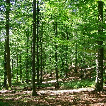 Gites La Tabatiere Laforêt Zewnętrze zdjęcie