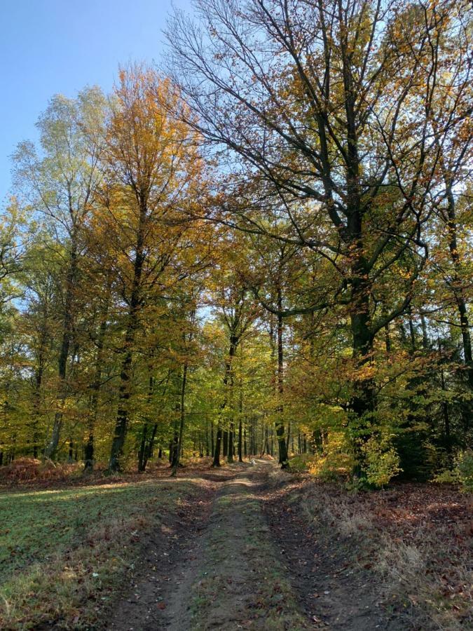 Gites La Tabatiere Laforêt Zewnętrze zdjęcie