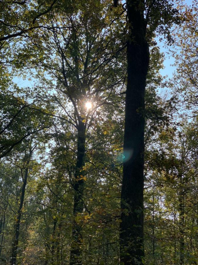 Gites La Tabatiere Laforêt Zewnętrze zdjęcie