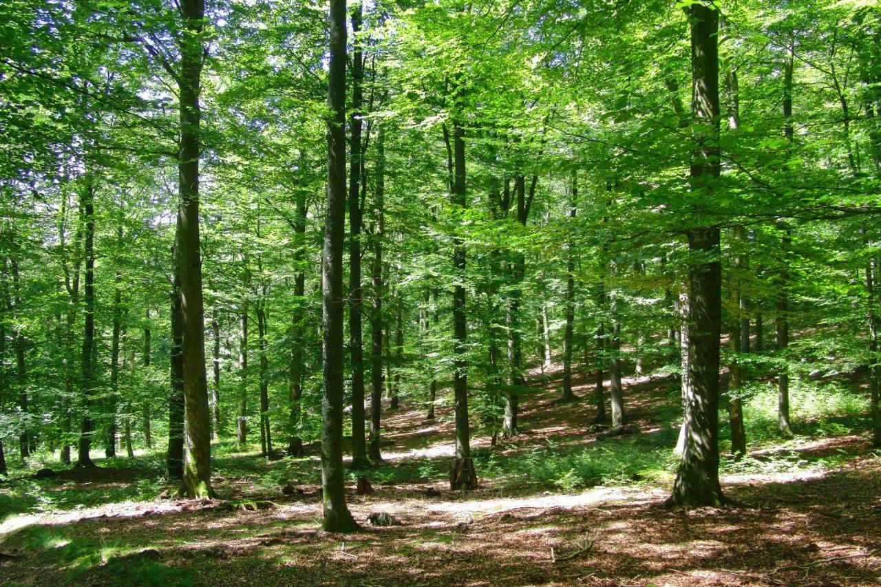 Gites La Tabatiere Laforêt Zewnętrze zdjęcie